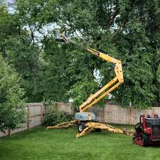 Best Tree Mulching  in Bealeton, VA